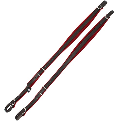 Alpenklang Tracolla Per Fisarmonica, 48 Bassi, Rosso/Marrone