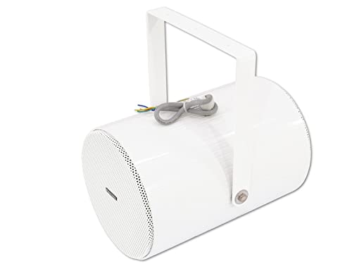 Omnitronic Ps-30 20W Bianco Altoparlante