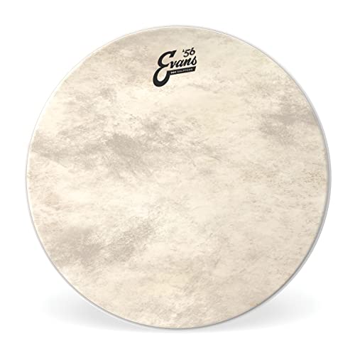 Evans Bd20Gb4Ct Evans Vitello Tono Grancassa, 20 Inch