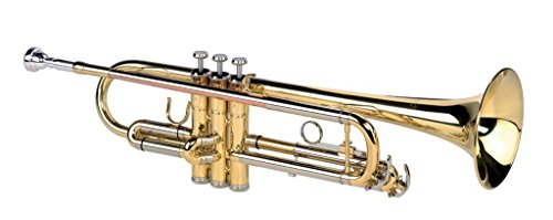 Alysée - Tr-6333 - Laccata