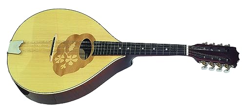 Gewa 505490 Mandola Pro Arte Lucido