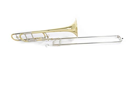 Roy Benson Trombone Tenore Sib/F Tt-242F (Valvola Quart, Campana In Ottone Da 8,5", Alesaggio Da 13,89 Mm, Guide In Alpacca, Design Ergonomico, In Una