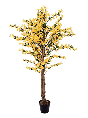 Europalms Forsythia Albero Con 4 Tronchi, Giallo, 150 Cm