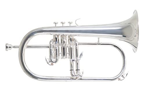 Roy Benson Flicorno Fh-302S (Con Foro Ms Da 11 Mm, Campana In Ottone Dorato, Valvole In Acciaio Inossidabile, Inclusa Custodia Rettangolare Leggera, C