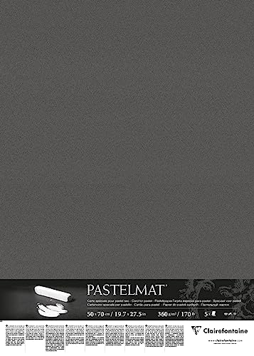 Clairefontaine 96009C Confezione Carta Pastelmat - 5 Fogli Di Carta Speciale Per Pastelli Secchi - 50X70 Cm 360G - Antracite