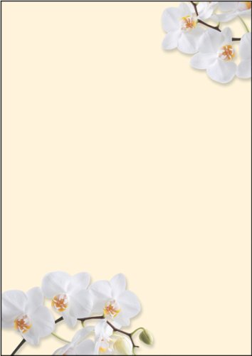 Sigel Dp904 Carta A Tema / Da Lettera, White Orchid, A4, 90 G, 50 Fg