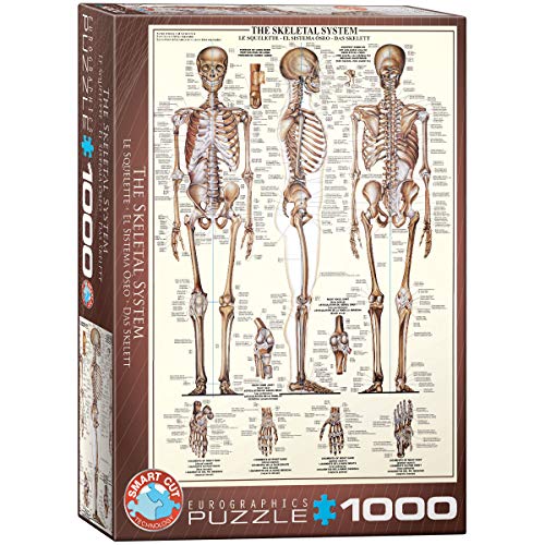 Eurographics- Skelett Puzzle, Multicolore, 6000-3970
