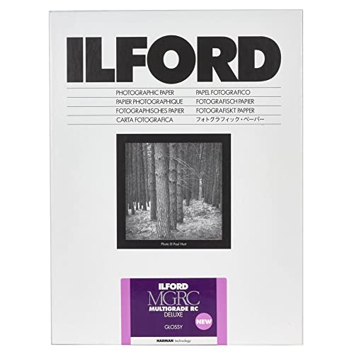 1X100 Ilford Mg Rc Dl 1M 10X15