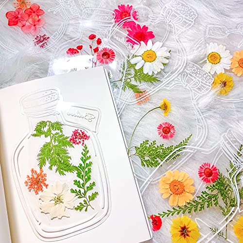 Segnalibri Di Fiori Secchi Trasparenti,Kaluofan 40Pcs Trasparenti Segnalibri, Segnalibro Con Fiori,Fatto A Mano Fai Da Te Con Bella Pagina Di Fiori Tr