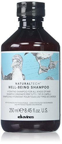 Davines Naturaltech Wellbeing Shampoo 250Ml - Shampoo Idratante