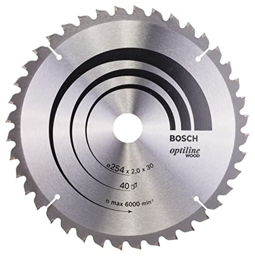 Bosch Accessories Lama, Nero, 254 Mm
