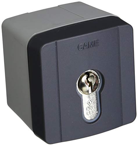 Came Selettore A Chiave Da Externo