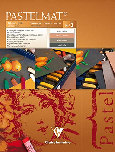 Clairefontaine 96005C Blocco Collato Pastelmat N°2 - 12 Fogli Di Carta Speciale Per Pastelli Secchi - 18X24 Cm 360G - 4 Colori Assortiti - Divisori In