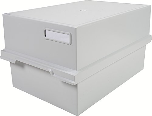 Exacompta 51540D Schedario, Grigio Chiaro, 35.8 X 32.6 X 25