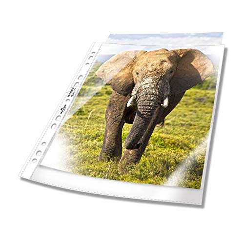 Durable Busta Perforata A4 Extra Large, 240 X 310 Mm, 90 Mm, Trasparente, 50 Pezzi
