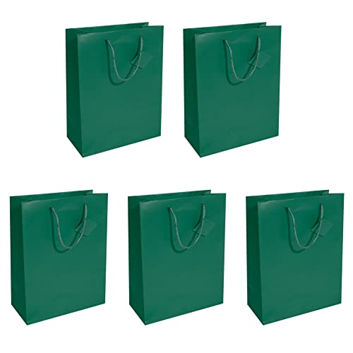 Sigel Gt500 Borsa Regalo, Grande, 33 X 26 Cm, Opaco, Verde Scuro, 5 Pezzi