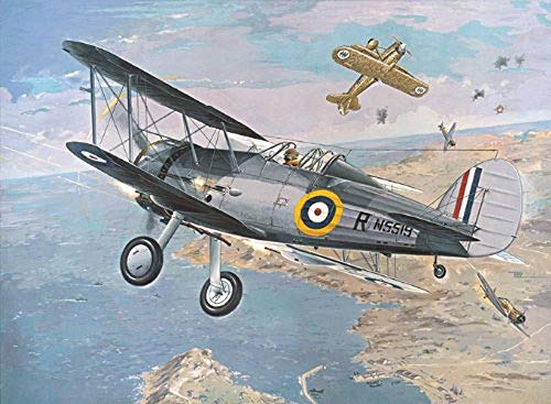 Roden 405 - Modello Gloster Sea Gladiator, 100 Pezzi