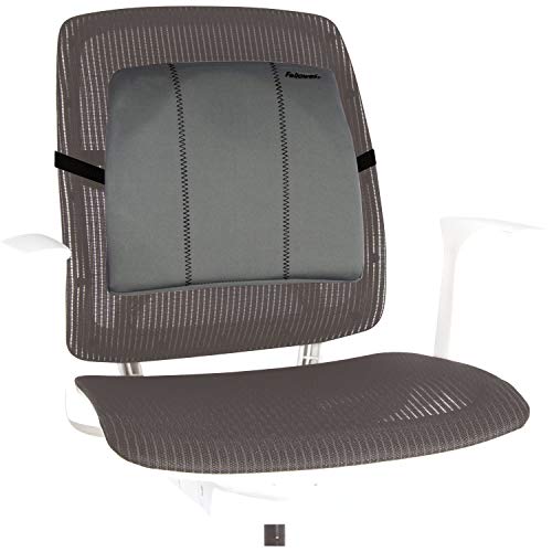 Fellowes 9190901 Supporto Schiena Smart Suites, Grigio Chiaro