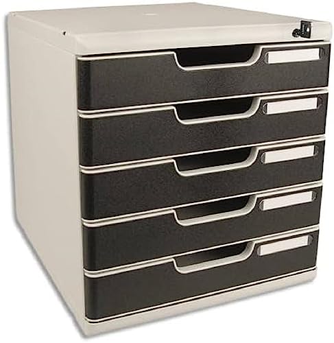 Exacompta 331014D Modulo A4 5 Cassetti Con Chiusura A Chiave Per Documenti A4+ Dimensioni Esterne Profondità 35 X Larghezza 28,8 X Altezza 32 Cm Grigi