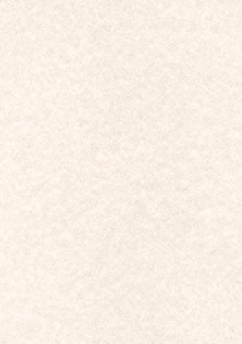 Apli Carta Grigia Calda Pergamena, 100 Pezzi, Avorio