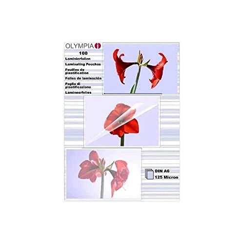 Renz Rueckwaende, Din A4, Chromo Da Un Lato Lucido, 250 G/Mq Argento, 100 Pezzi