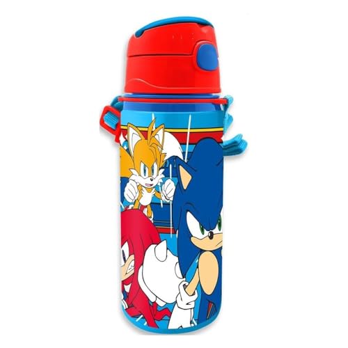 Cantimplora Aluminio Sonic The Hedgehog 600Ml