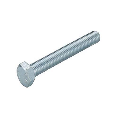 Fischer Vite Sks - Sks 10X55 Vite T.E.