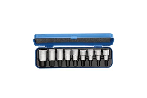 Gedore Inserti Cacciavite Per Viti A Esagono Cavo, Set Di 9 Pezzi, Inserto Esagonale, Giravite Inserti, Utensile, In 19 Pm