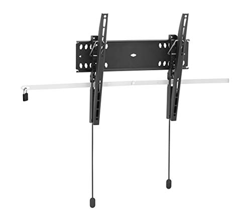 Inclinabile 42 A 55 Fino 50Kg 400X400