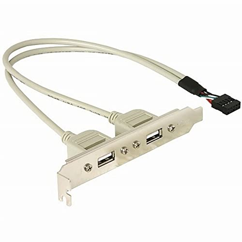 Delock Slotbracket 1X Internal Usb 5Pin > 2X Usb2.0 External 0.3M Usb A Bianco Cavo Usb