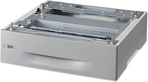 Epson Cassetto Carta 550 Fogli Al-C9300N