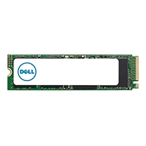 Dell M.2 Pcie Nvme Class 50 2280 Ssd 1Tb