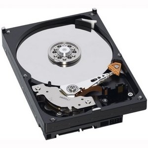 Ibm 49Y1866 Hard Disco Interno 600 Gb, Nero