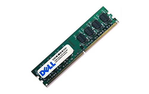Dell Sns Only