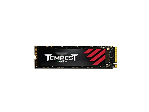Ssd 1Tb 2900/3300 Tempest M.2 Msk