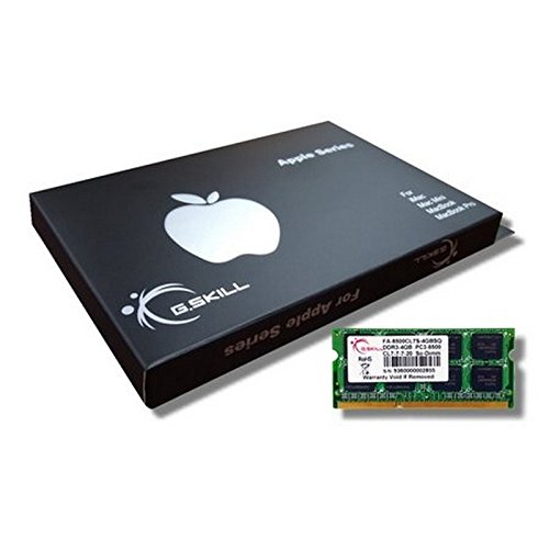 G.Skill Pc3-8500 Memoria 4Gb (1066 Mhz, 204-Polig) Ddr3-Ram Kit