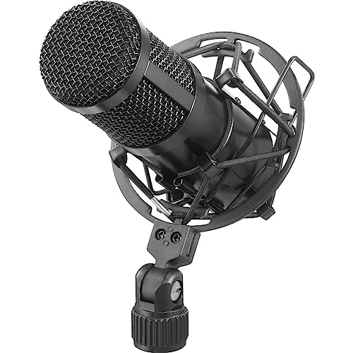 Renkforce Rf-Mic-510 - Microfono Usb Con Custodia, Con Ragno, Con Protezione Dal Vento, Cavo Incluso, Custodia Per Microfono Inclusa