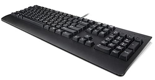 Lenovo Keyboard Usb Trdtnl Kb Bk Euro E Preferred Pro Ii, W125630739 (Euro E Preferred Pro Ii, Full-Size (100%), Wired, Usb, Qwerty, Black)