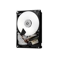 Hgst Ultrastar 2Tb 2048Gb Sas Internal Hard Drive - Internal Hard Drives (3.5", 2048 Gb, 7200 Rpm, Sas, 128 Mb, Hdd)
