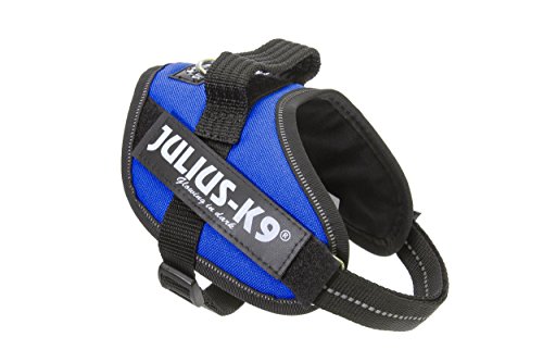 Julius-K9, Pettorina Idc Power, Taglia: S / Mini, Colore: Blu