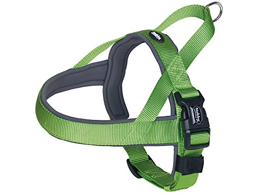 Nobby Classic Preno Norwegian Imbracatura 75-98 Cm+62 Cm/40-45 Mm, Verde/Grigio