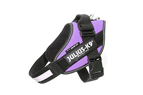 Julius-K9, Pettorina Idc Power, Taglia: M / 0, Colore: Viola
