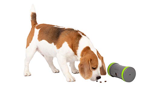 Petsafe Kibble Chase - Giocattolo Interattivo Per Cani, Erogatore Di Cibo A Bassa Velocità, Giocattolo Dispensa Croccantini, Stimola Il Gioco Attivo