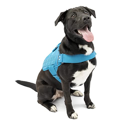 Kurgo Townie Rsg - Pettorina Per Cani, Giubbotto Di Addestramento Per Cani, Include Maniglia, Catarifrangente, Compatibile Con Molle - Blu, Xl