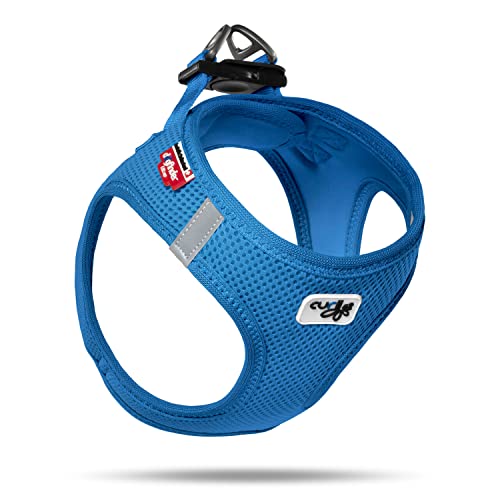 Curli Pet Supply Dog, Nylon, Blue, 2Xs