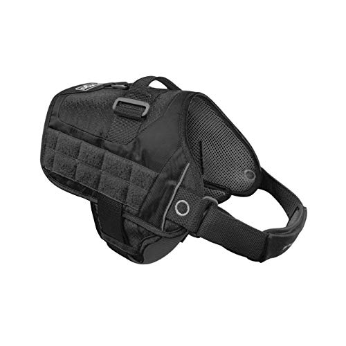 Kurgo Townie Rsg - Pettorina Per Cani, Giubbotto Di Addestramento Per Cani, Include Maniglia, Catarifrangente, Compatibile Con Molle - Nero, Xl