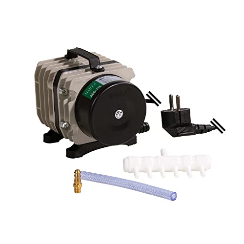 Hailea Aco 318 - Compressore A Pistoni, Funzionamento Oil-Free, 60L/Min, Consumo Energetico 32 W