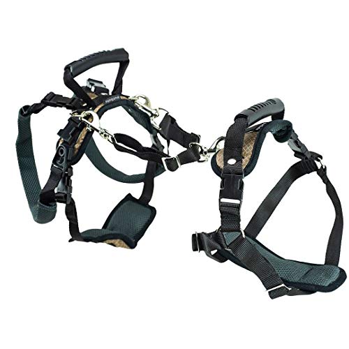 Petsafe Carelift, Pettorina Di Supporto Per Cani, Ausilio Per Il Sollevamento Di Tutto Il Corpo Con Impugnatura, Per Cani Disabili O Anziani, Comodo,
