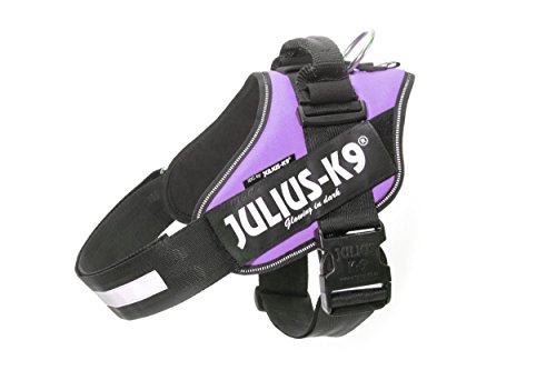 Julius-K9, Pettorina Idc Power, Taglia: 2Xl / 3, Colore: Viola