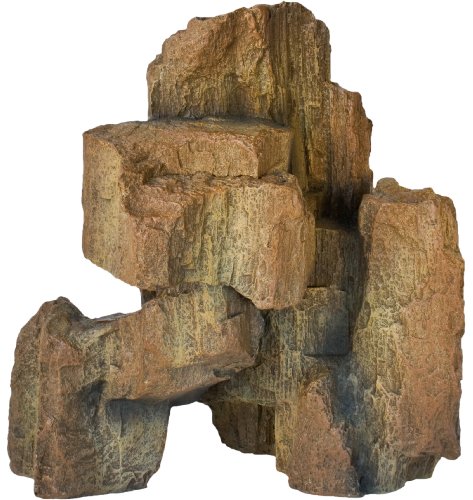 Hobby Fossil Rock
